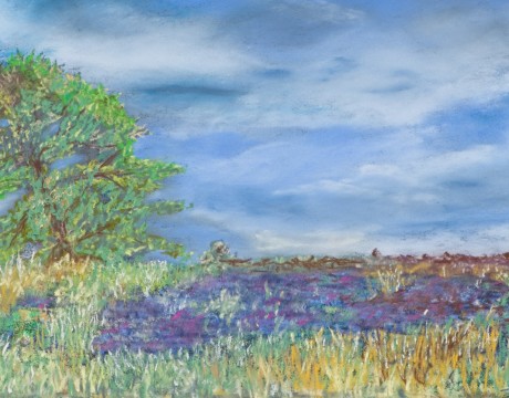 Een wandeling over het Balloërveld