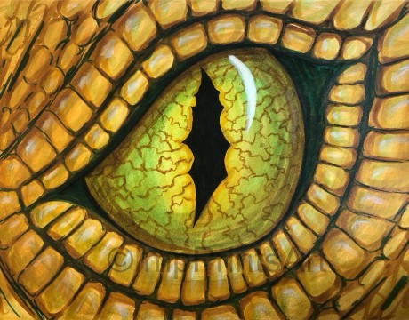 Dragon Eye