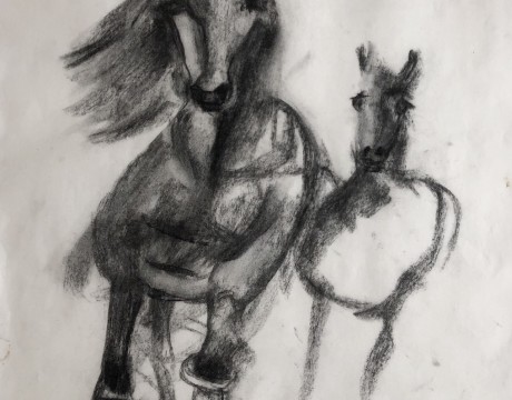 Paarden in galop over de steppe