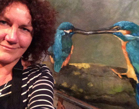 IJsvogels, oude voedt jonge