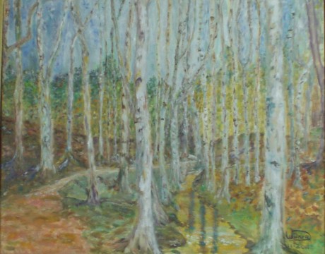 Landschap, Berkenbos