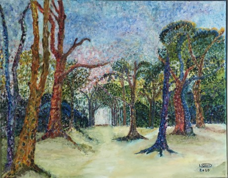 Impressie van het Drouwenerzand (3)