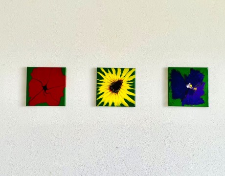 Ode aan muurbloempjes