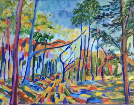 Impressie van het Drouwenerzand (5)