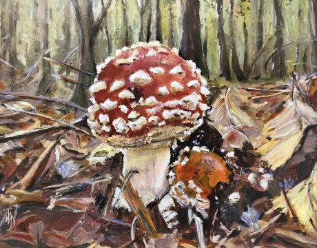 Fly Amanita | Vliegenzwam