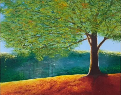 Deer in the treeline