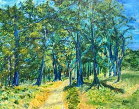 Impressie Drouwenerzand (7)