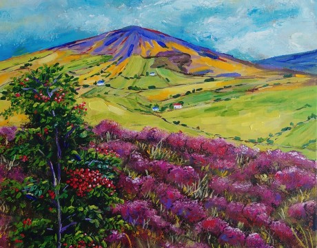 Slieve Carr, Nephin National Park, county Mayo, Ierland.