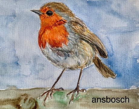 Roodborstje 