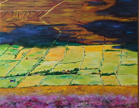 Landbouw ingesloten door veen. County Mayo, Ierland