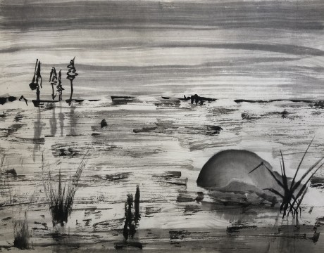 Snelschets in inkt - sumi-e