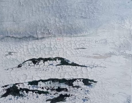 ‘Nova Zembla’ Ode aan Louis Apol