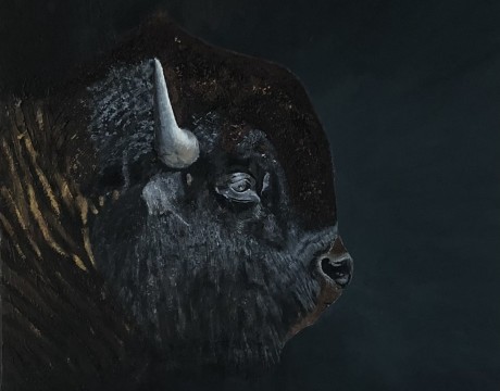 Bison