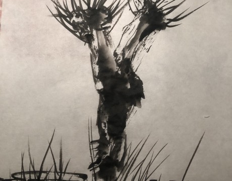 Knotwilg in sumi-e