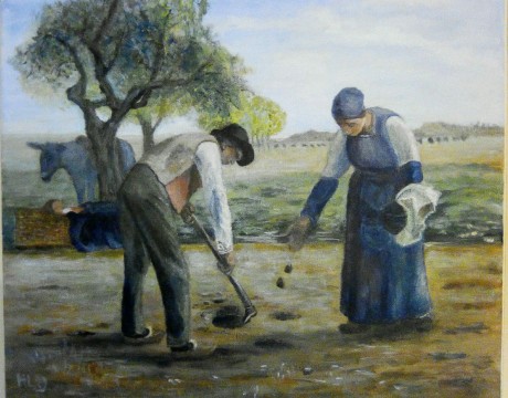 Planteurs de pomme de terre