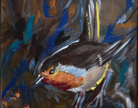 Project roodborst A tip of yellow