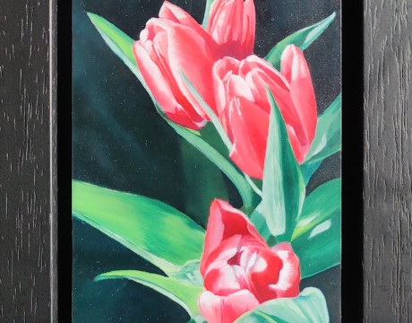 Lente tulpen