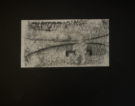 Zo klein - zo kwetsbaar