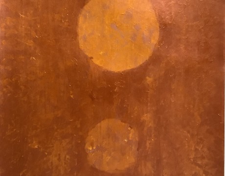 Bezielde aarde - Oogst