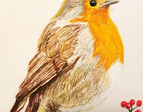 Roodborstje 