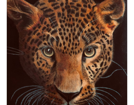 Leopard