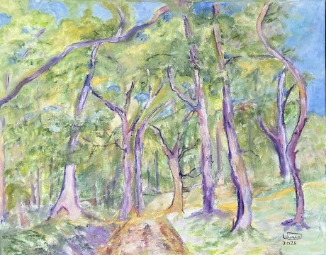 Impressie Drouwenerzand 21