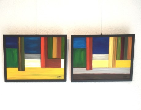 Impressie Drouwenerzand (4) 