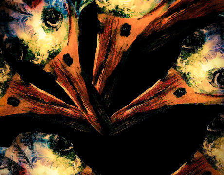 Vogels met gekleurde veren 