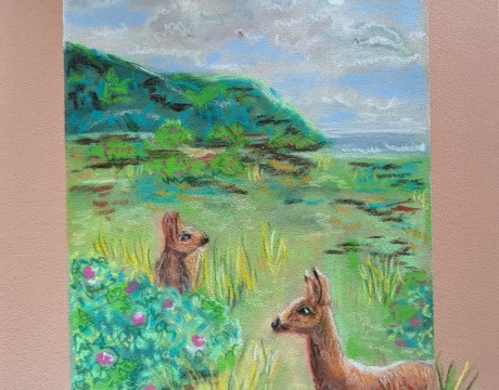 Herten in het duin in de tuin