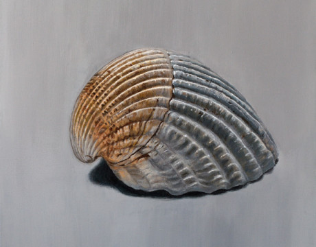 Fibonacci was here (handgeschilderd)