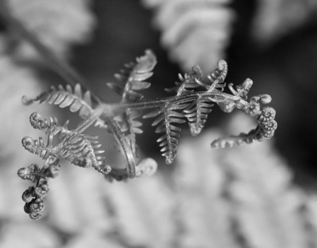 Unfolding Life - fotografie