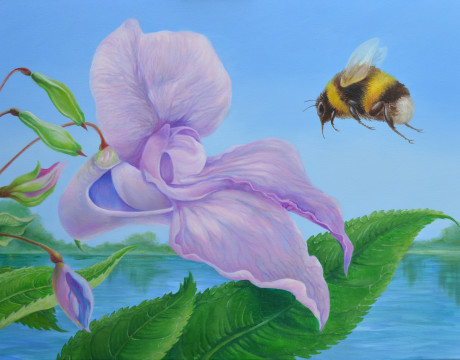 Vlucht van de aardhommel