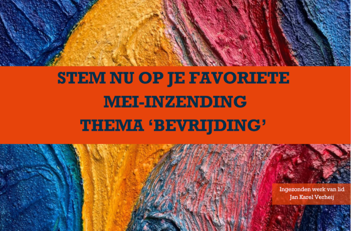 Dit zijn de inzendingen: wie is jouw favoriet? 