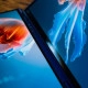 ASUS Zenbook DUO (2025)