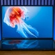 ASUS Zenbook DUO (2025)