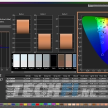 Medion E15433 - Calman ColorChecker