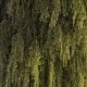 Foto gemaakt met Galaxy S25+ buiten avond 4x