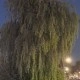 Foto gemaakt met Galaxy S25 Edge buiten avond 2x