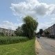 Foto gemaakt met Galaxy S25 Edge buiten overdag 0,6x