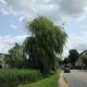 Foto gemaakt met Galaxy S25 Edge buiten overdag 1x