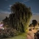 Foto gemaakt met Pixel 9 Pro XL -  avond buiten 1x