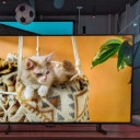 De Hisense 50U6N was de kleinste 2024 Hisense TV op de show