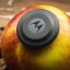 Moto Tag