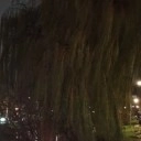 OnePlus 15 - avond - buiten - met avondmodus - 2x