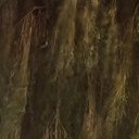 OnePlus 15 - avond - buiten - met avondmodus - 7x