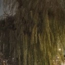 Oppo Find X9 Pro - avond - buiten - met avondmodus - 2x