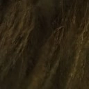 Oppo Find X9 Pro - avond - buiten - met avondmodus - 7x