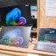Acer PD243Y