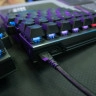 ROG Falcata