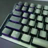 ROG Falcata
